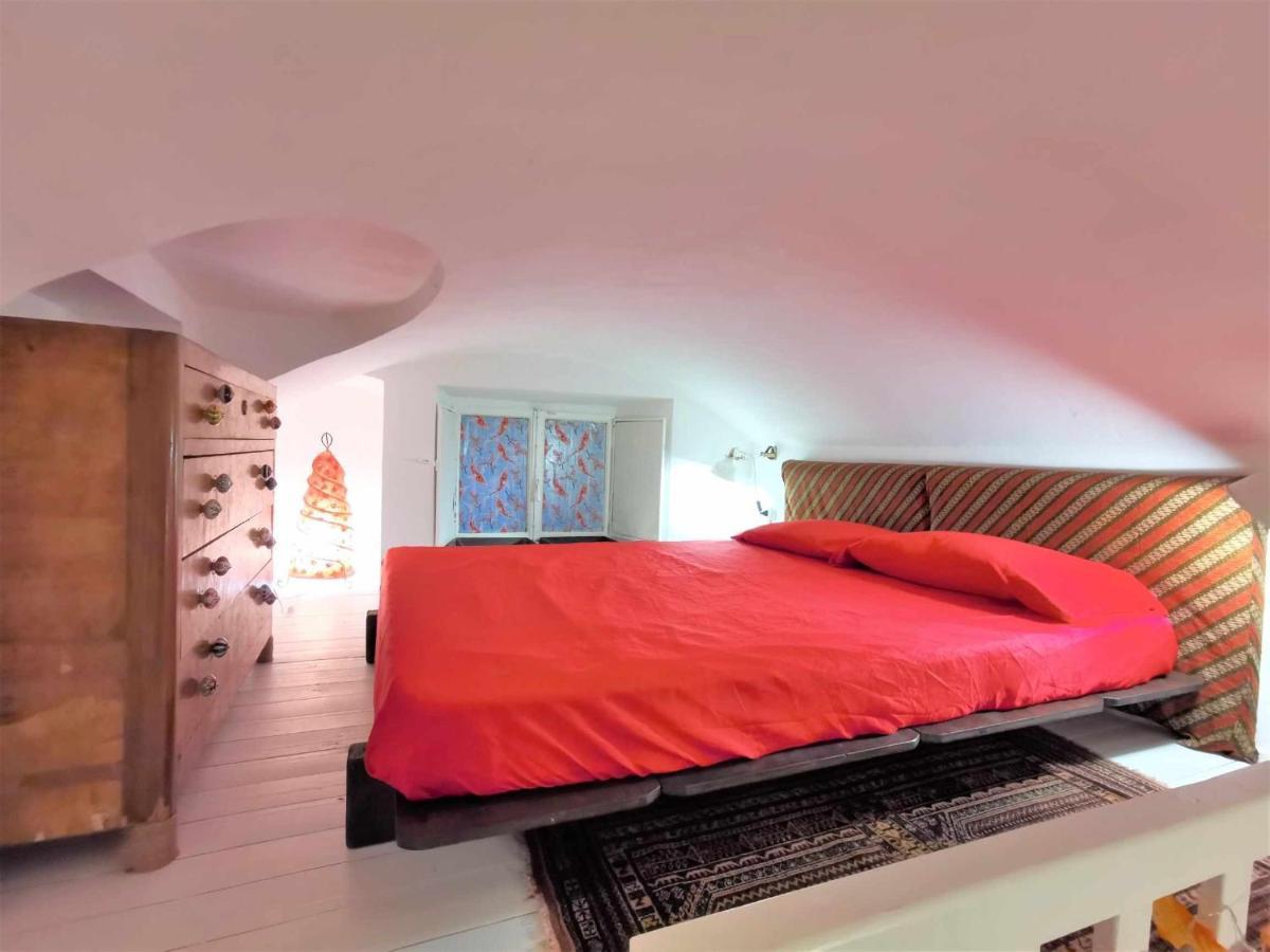 Jungle Fever Apartment